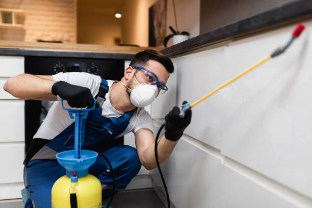 Best Emergency Pest Control  in Minco, OK