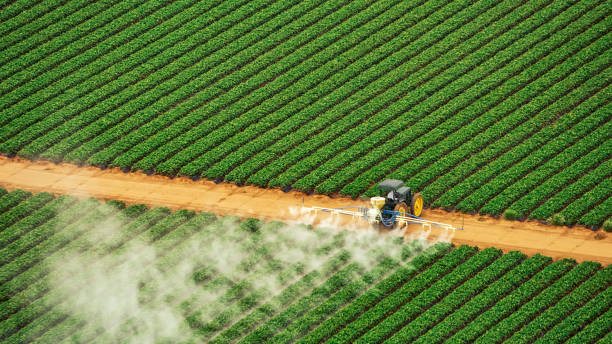 Best Termite Control Services  in Minco, OK