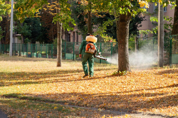 Best Commercial Pest Control Services  in Minco, OK