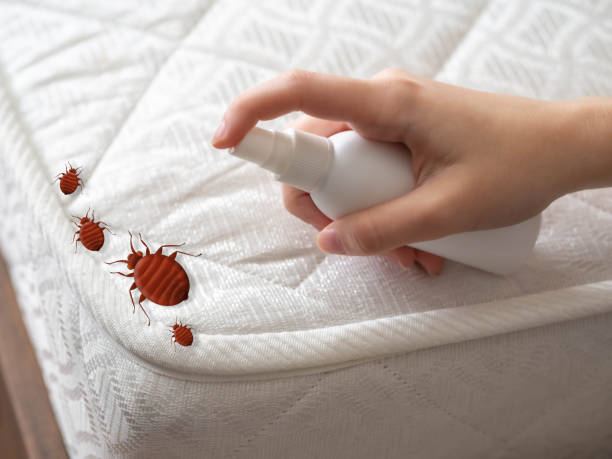 Best Residential Pest Control  in Minco, OK