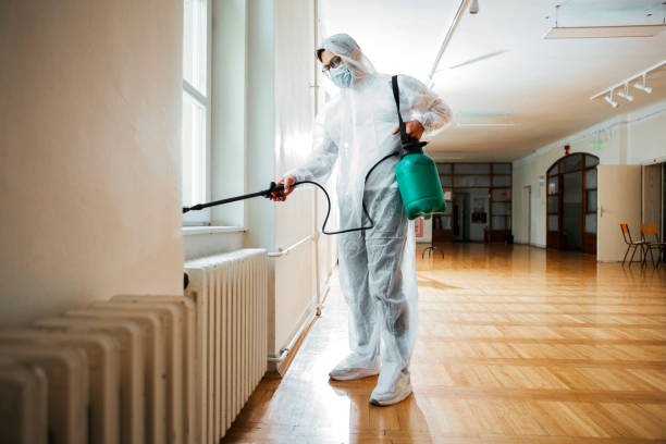 Best Wasp Removal Services  in Minco, OK
