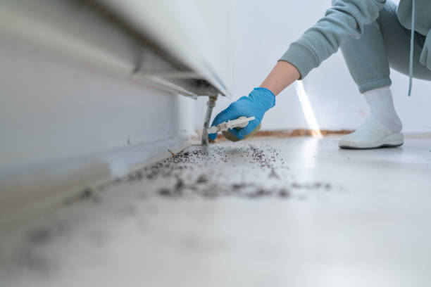 Best Pest Control for Restaurants  in Minco, OK